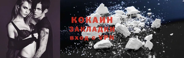 прущие грибы Инта