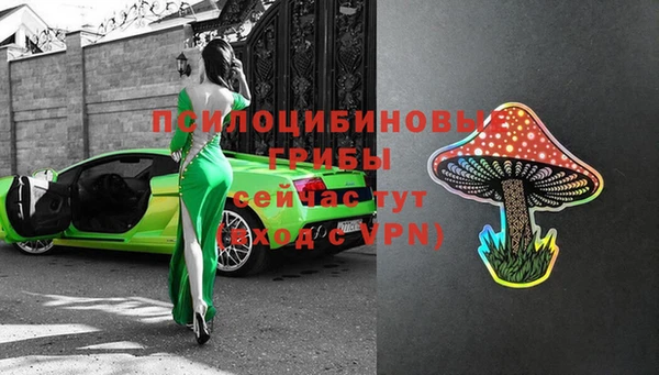 марки nbome Инсар