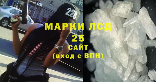прущие грибы Инта