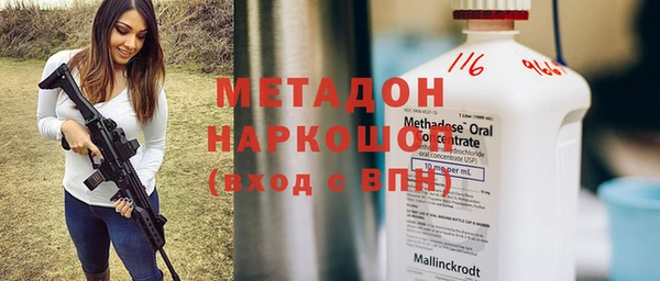 прущие грибы Инта
