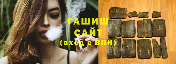 прущие грибы Инта