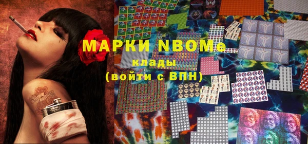 прущие грибы Инта
