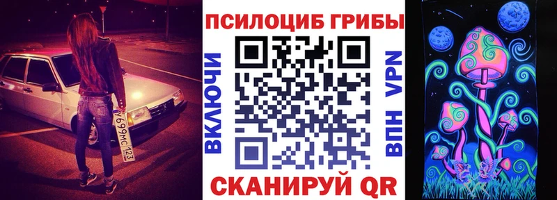 Купить закладки Перевоз Псилоцибиновые грибы прущие грибы